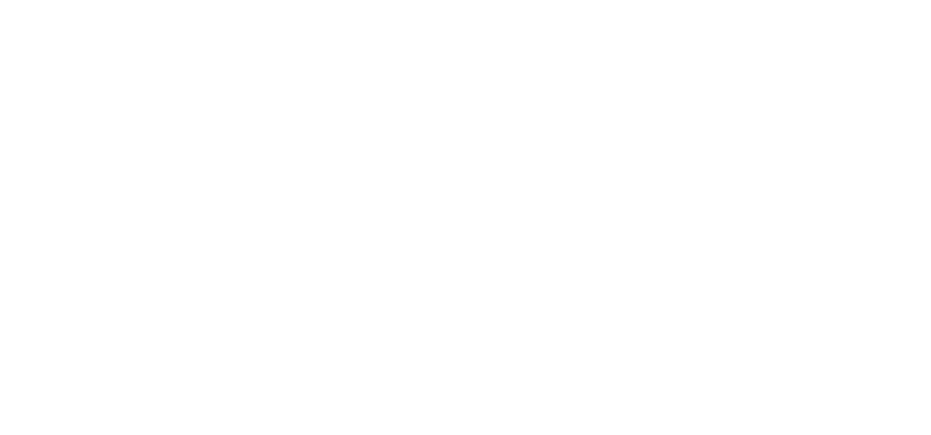 Dinç Media